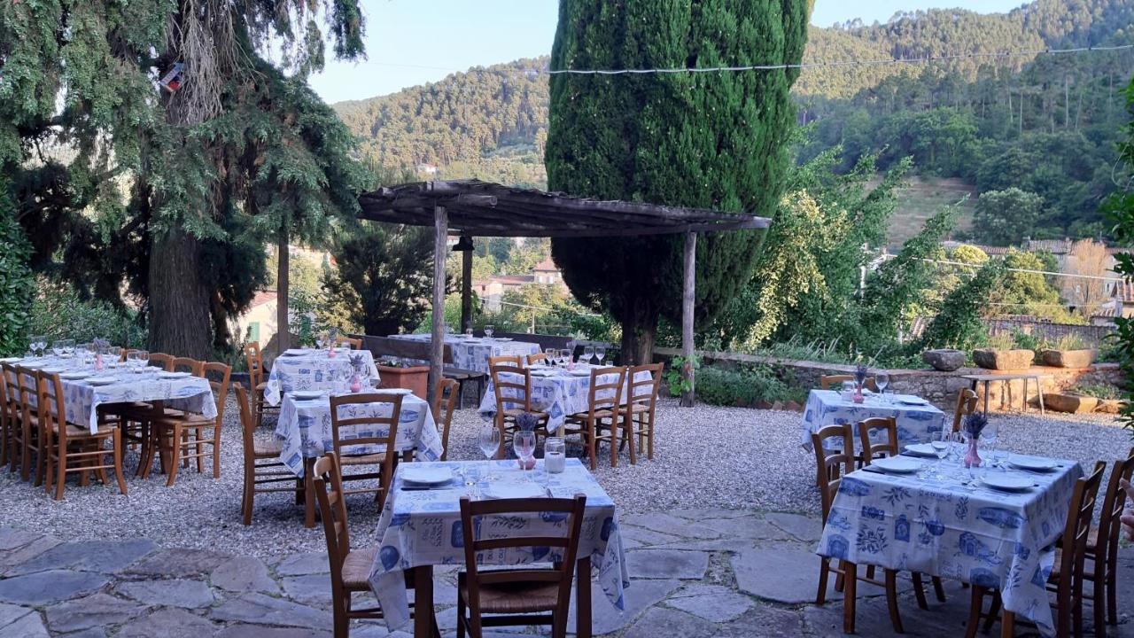 Agriturismo Alle Camelie Villa Capannori Exterior photo